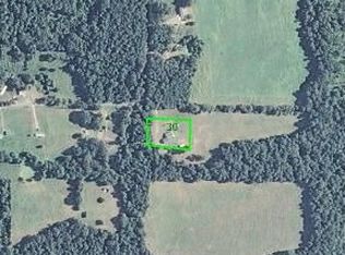 1222 Barrens Loop Rd, Clinton, AR 72031