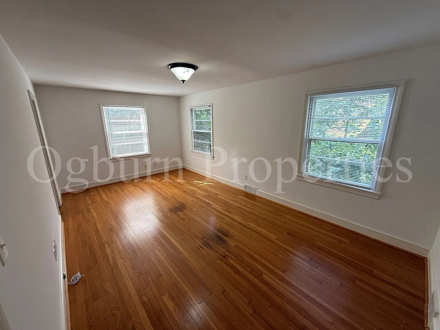 2403 Lyndhurst Ave-3BR/1BA-Ardmore HOME — Photo 3