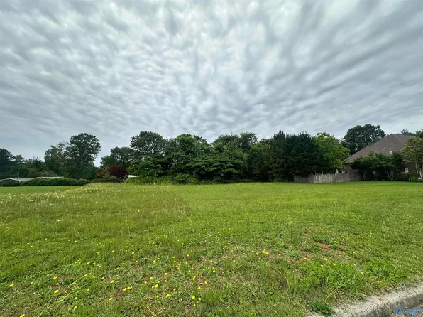 33 Juanita Dr, Athens, AL 35613