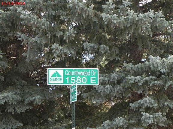 5th image of 10237 S Countrywood Dr