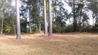 5th image of 509 Shelley Dr