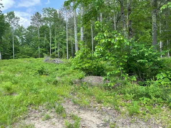 Lot 33 Blake Trail, Tuftonboro, NH 03816