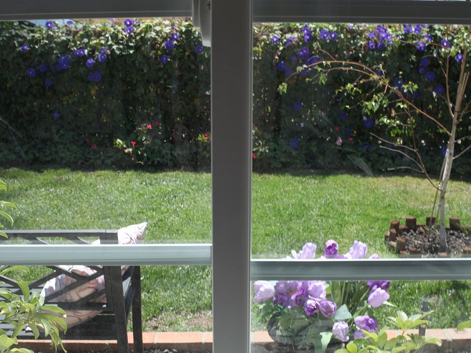 Front yard view from window