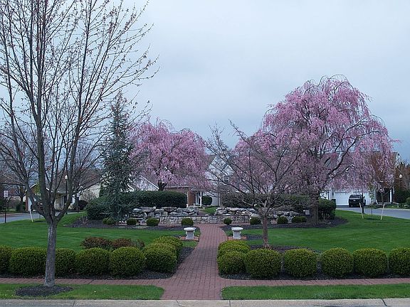 Common Area Fountain