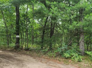 Ville, Baldwin, MI 49304