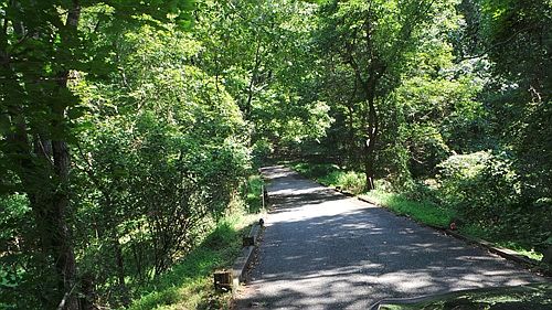 Continues thru the woods