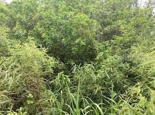 S Goodman Rd, Kissimmee, FL 34747