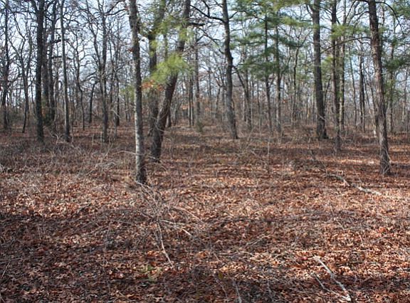 2nd image of 50529 E County Road 1510