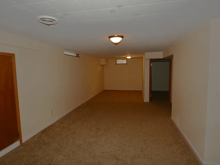 Basement Family Room