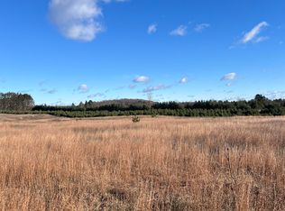 Vacant Land Johnson Rd, Bellaire, MI 49615