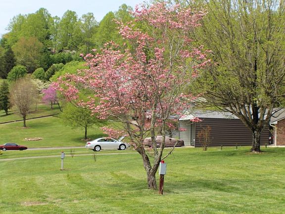 4th image of 618 Seven Oaks Dr