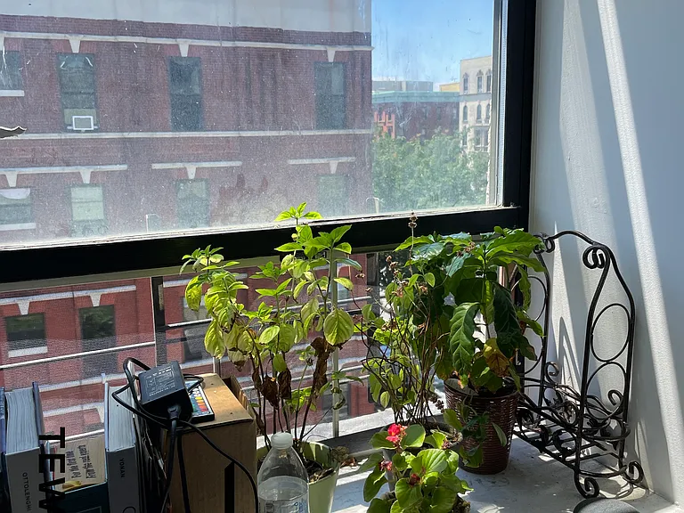 167 W 122nd St #4DD — Photo 6