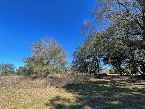 0 NW 167th Ct, Morriston, FL 32668