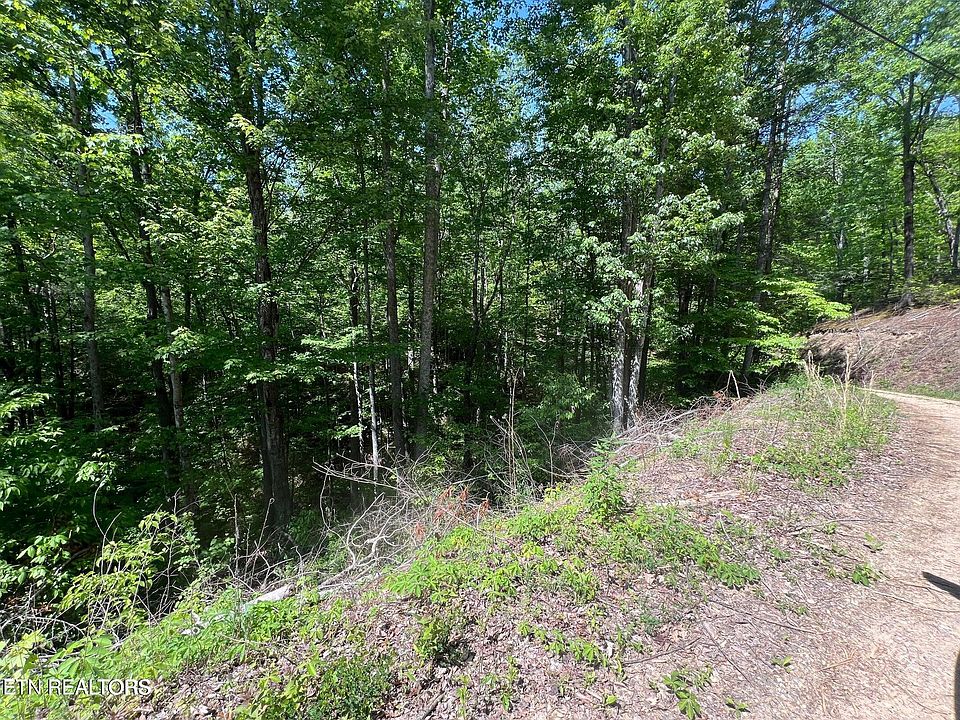 1st image of LOT 55 Butternut Ln