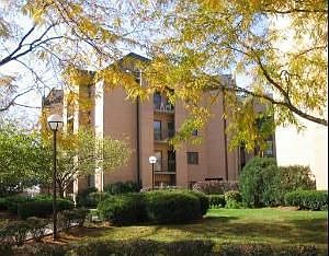 7420 Lawrence Unit 310
