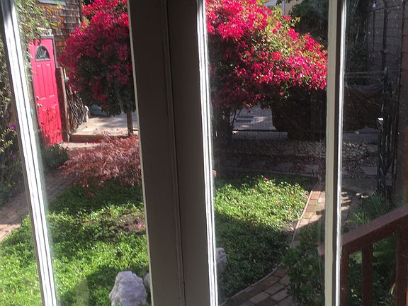 living room window with garden view