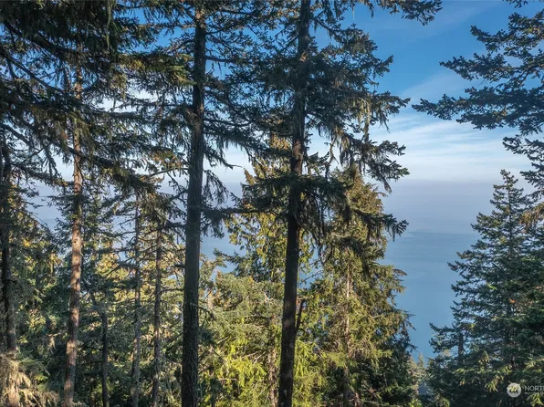 1910 Twin Lakes Drive, Orcas Island, WA 98245