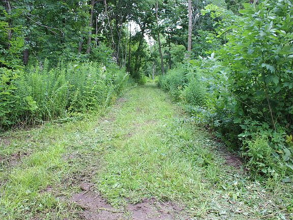 2nd image of 53RD Street