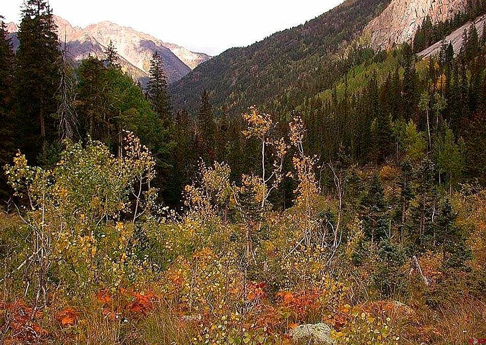 Needle Creek Trl, Durango, CO 81301 MLS 795739 Zillow