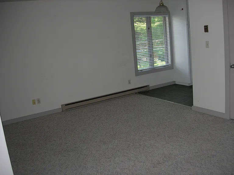 319 N Park Ave — Photo 16