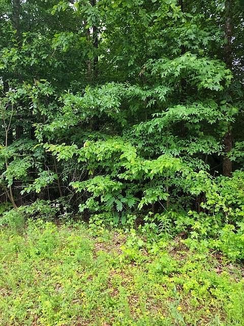 2nd image of 4724 Rocky Branch Xing