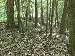 Robinson Rd, Jeffersonville, VT 05464