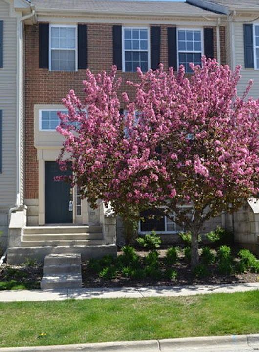 1st image of 137 Willow Blvd Unit 305-A