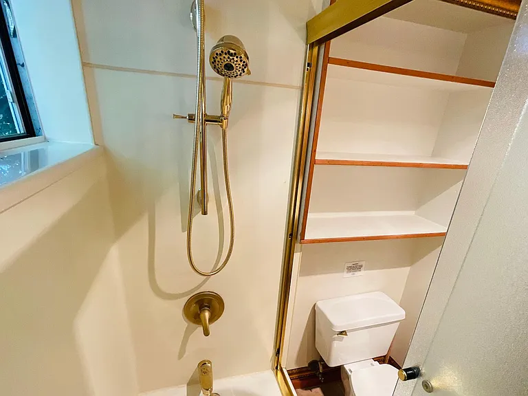 gold shower hose fixture