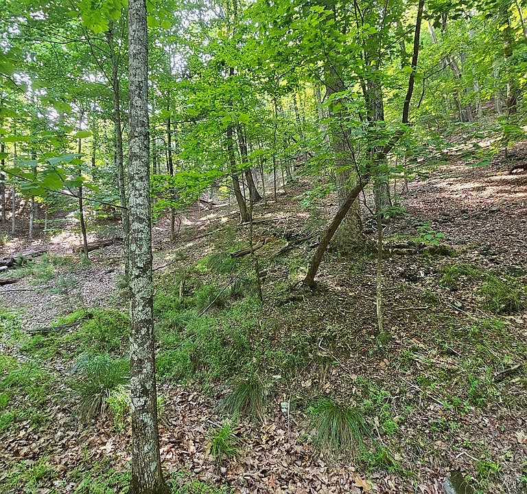1st image of 1111 Quail Cove Dr