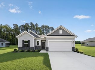 252 Digging Time Avenue Pne, Level, NC 27569