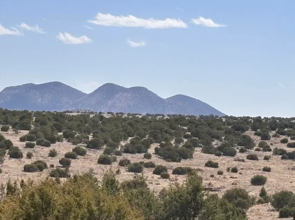 LOT 173 Pinon Springs Rd, Magdalena, NM 87825