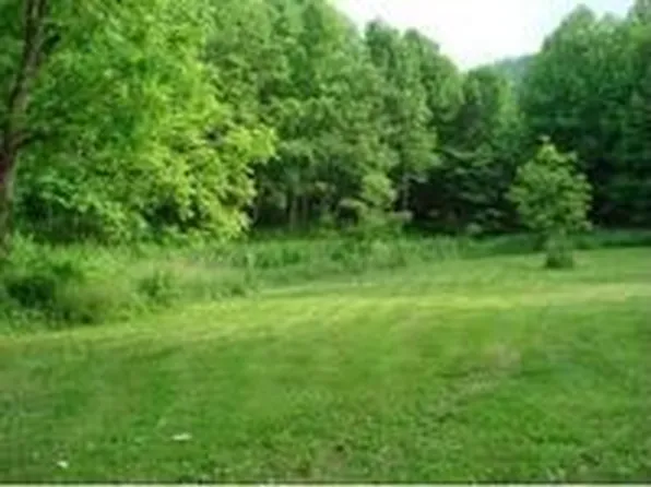 732 Hampton Creek Rd, Roan Mountain, TN 37687