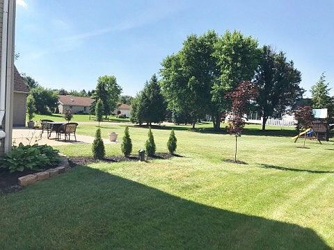 New landscaping in back yard