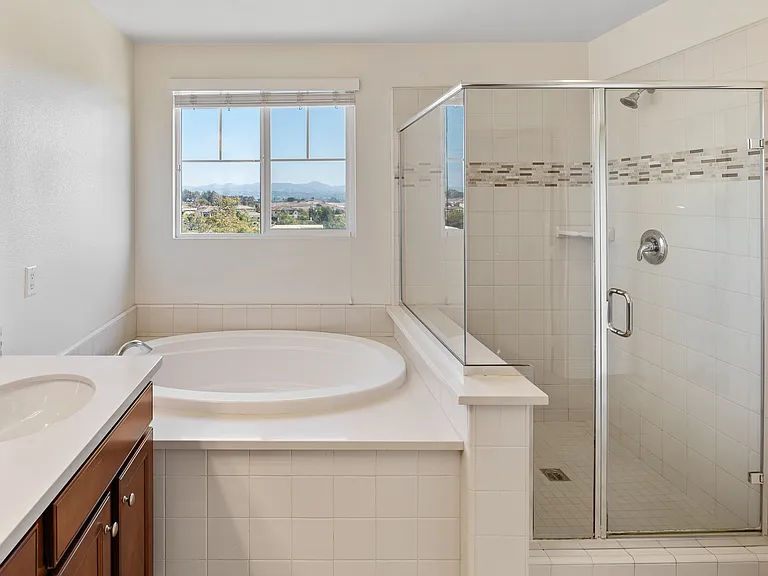 Master Bathroom with Jacuzzi Bath and Standing Shower