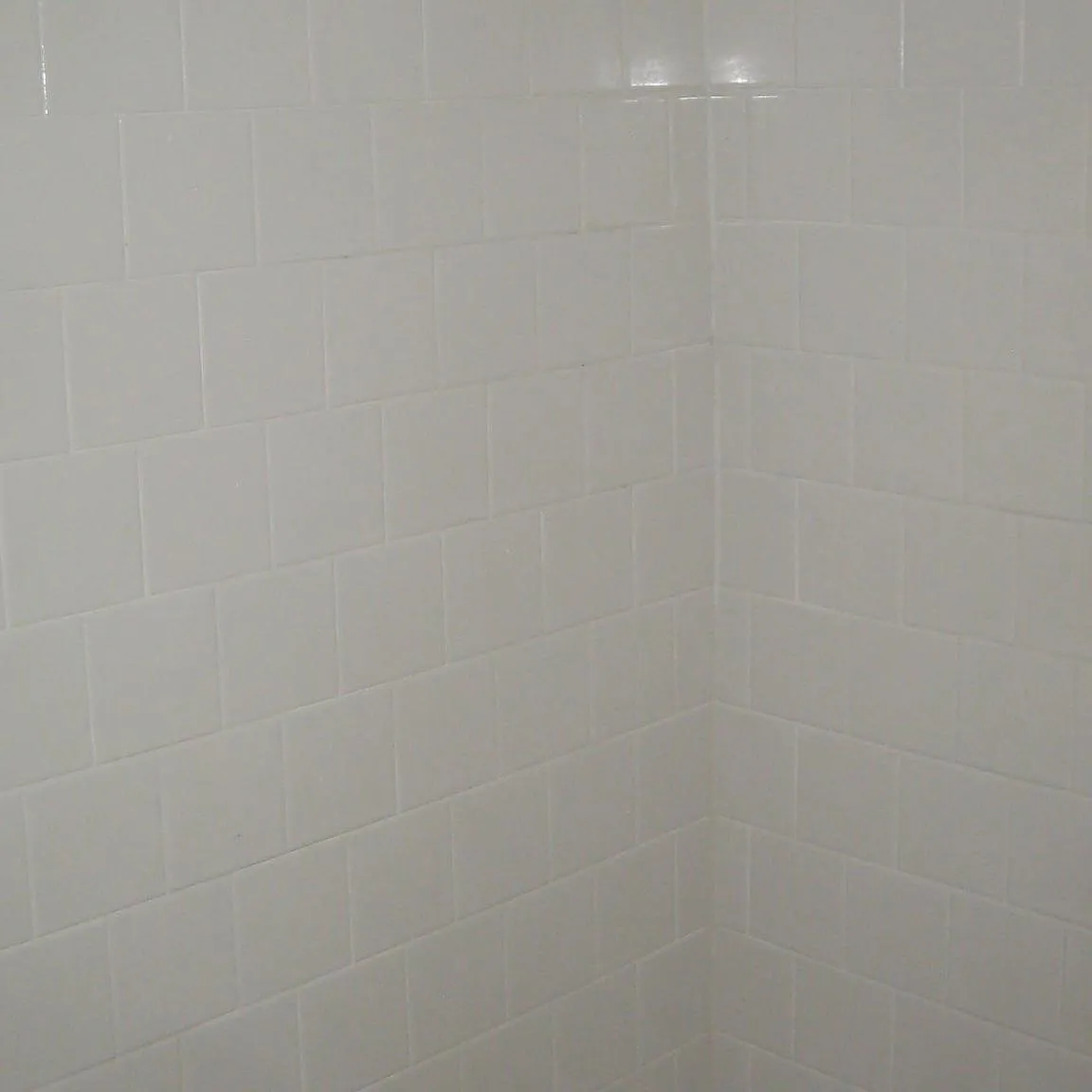 3 bed, 1170 sqft, $2,000 — Photo 4