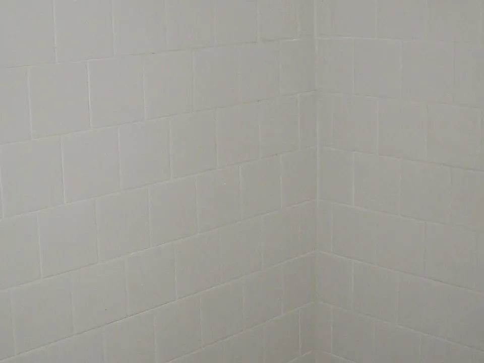 Tub Shower