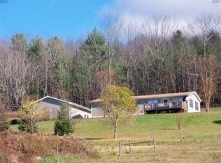 91 Dawson Hill Rd, Spencer, NY 14883