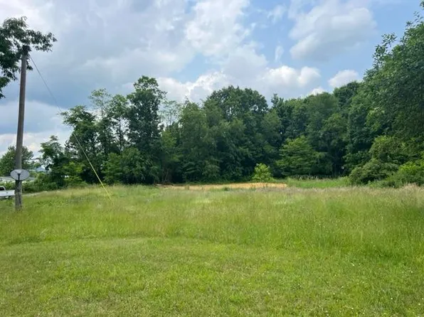 1109 Woodbine Rd, Craigsville, WV 26205