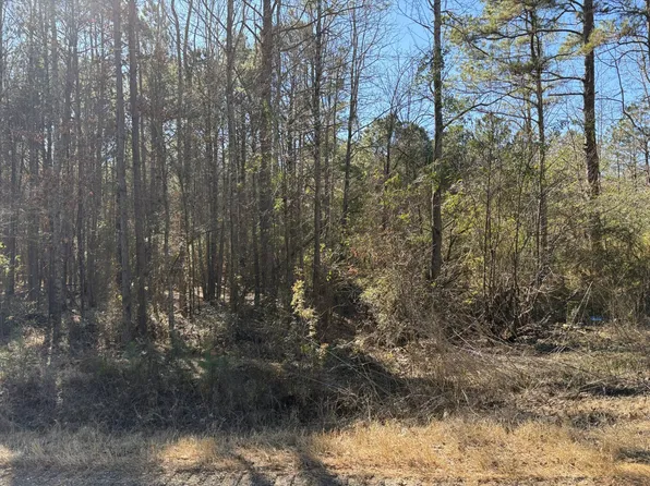 0 N Long Ave, Taylor, AR 71861