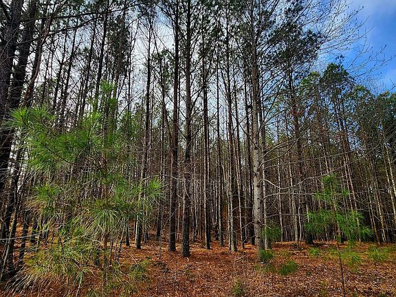 3rd image of 1560 Thunder Ridge Dr #48