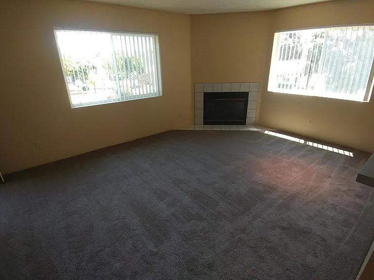 7425 Charmant Dr #2814 — Photo 6