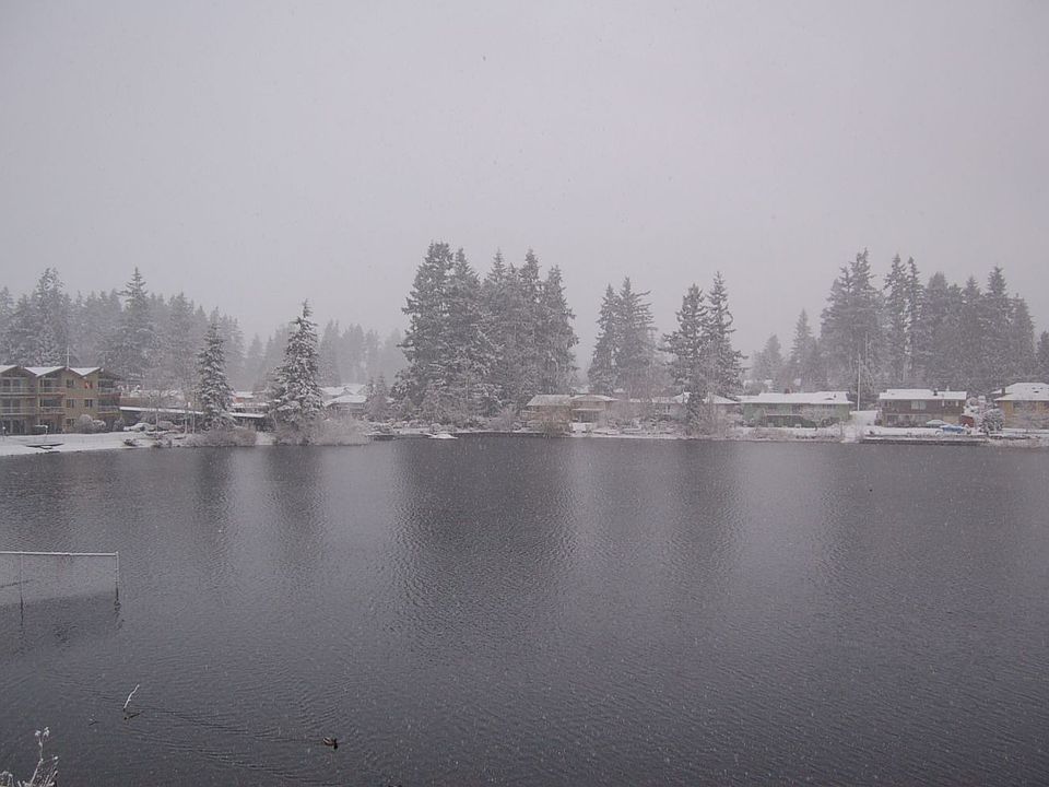 Winter 2007(view from balcony)