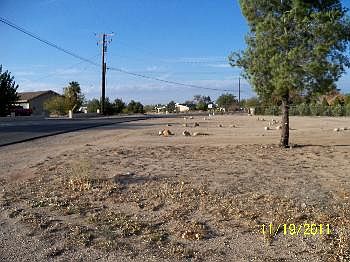 2nd image of 11023 5th Ave