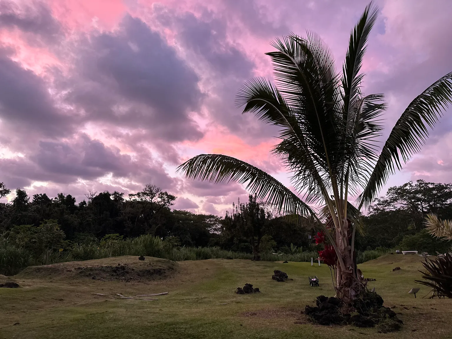 Alalele Pl, Hana — Photo 4