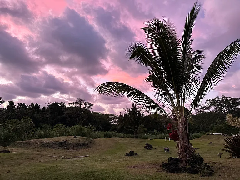 Alalele Pl — Photo 4