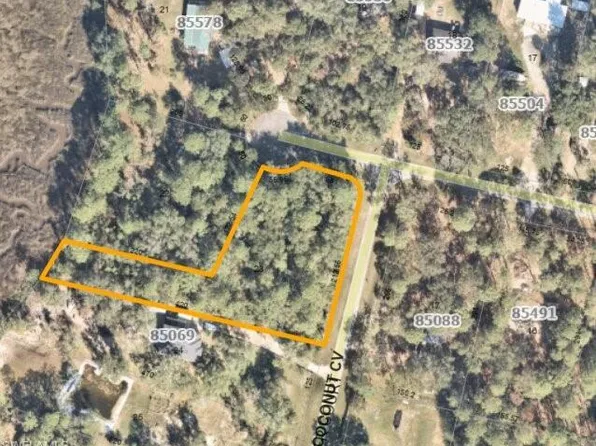 85070 BURMEISTER CT, FERNANDINA BEACH, FL 32034