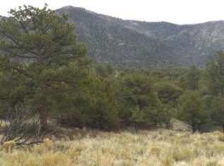 918 Pine Cone Way, Crestone, CO 81131