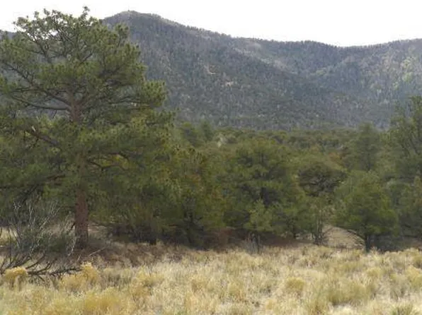 918 Pine Cone Way, Crestone, CO 81131