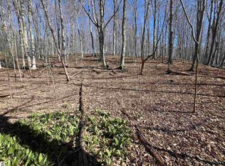 PARCEL Lobb Rd #D, Frankfort, MI 49635