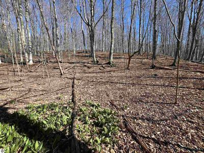 PARCEL Lobb Rd #D, Frankfort, MI, 49635
